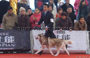 2005CPC�����H��Ȯչ���ʢ��,Romeo�A��BIG