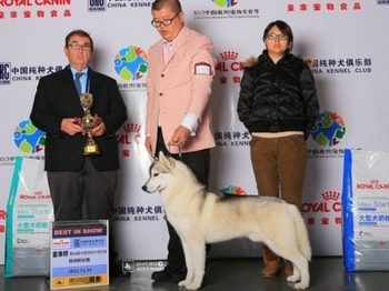 2012��11�º���CKC���ʼұ������ݷe��ِ