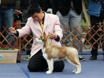 3��5-6�գ�����CKCȫȮ�N��ِ����С��������ʿ�����Ъ��