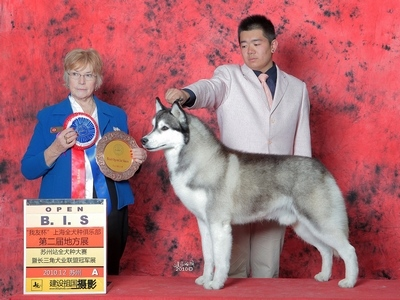 BLOCKER�@���K�ݪ���ِ����BIS,����RBIS���@�ê���3000Ԫ��