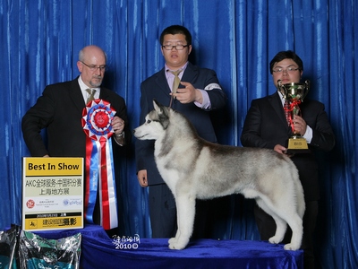 BLOCKER�������ϣ��Ϻ�NGKCȫȮ�N�e��ِOPEN-BIS��С�܏��ݠ�BBABY-BIS