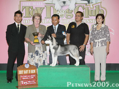 �팚��ʿ�棬�ɹ����ں���Ȯֻ��ȡ�ò��ב�