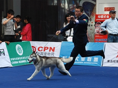 ���uCKU��GILLIAN�@��BIG3������Ї���ꑹ�܊