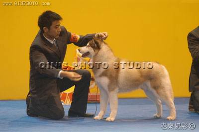 �Ї������׌�ȫȮ�N(���H)��܊չ.Romeo �A��BIG