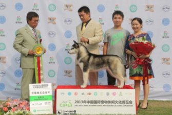 ��ϲ��ʿ�濨��֮��Parker��2013��10���ؑc����CKU�Ĉ���ِ�Иs�@2�� PUPPY BIS1 ��PUPPY BIS2 һ����PUPPY BIS4 һ��