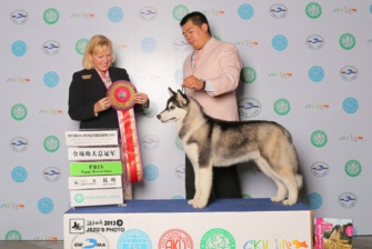 ��ϲ��ʿ�濨��֮��Paker�s�@2013��9�º���CKU�Ĉ���ِ�Ɉ�BIS1��BIS2��BIS4��һ��