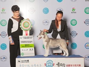2015��5�µ׺���CKU����(l��i)��Ȯ�I(y��)����ِ�¼��\