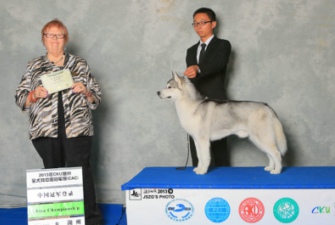 2013��10���㽭����CKU ��ʿ��danny����ϵ����Poseidon��Seleneͬ�r����Ї���܊���