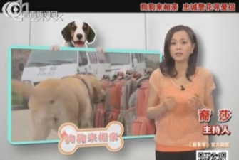 2013��12��ˇ�g�����l�� ���������H ���\�������ۂH ���́팚Ȯ�I